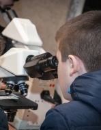 Un ragazzo intento al microscopio durante ViterboScienza